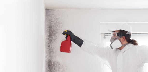 Best Mold Remediation for Schools in Milford Square, PA